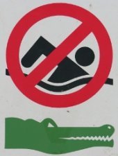 Crocodile Warning Sign - No Swimming