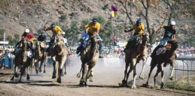 The Camel Cup Alice Springs