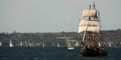Replica Tall Ship In The Sydney Harbour