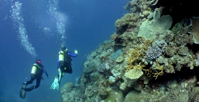 The Great Barrier Reef Australia A Diving Paradise