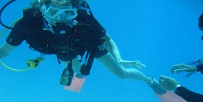 Learning To Dive On The Great Barrier Reef Australia
