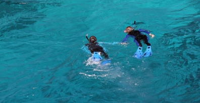 Snorkeling On The Great Barrier Reef Australia