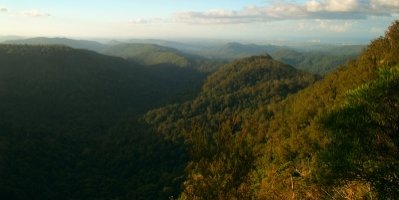 Springbrook National Park