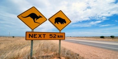 Australian Road Sign Showing A Kangaroo And A Wombat