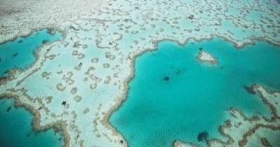 The Amazing Great Barrier Reef