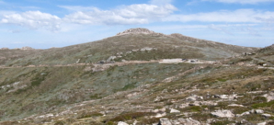 Mt Kosciuzko