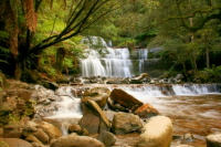 Tasmanian Waterfall