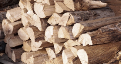 Wood Pile