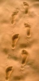 Footprints in the Desert