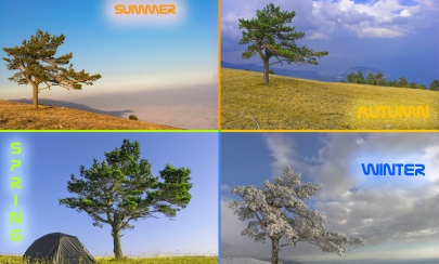 The Four Seasons