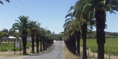 Beautiful Barossa