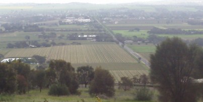 View of Vineyards of the Barossa