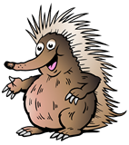 Cartoon Australian Echidna Pointing