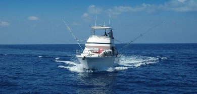 Sports Fishing Boat