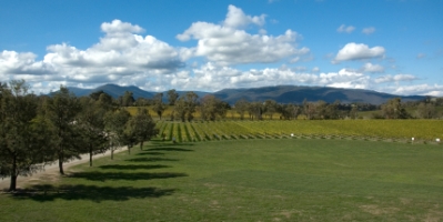 Vineyards of the Yarra Valley Victoria