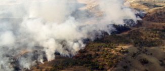 Australian Bushfire