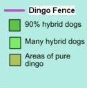 Dingo and Dingo Fence Scale