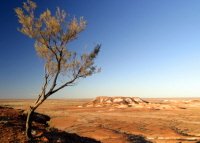 South Australia Outback