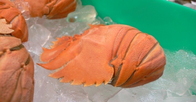 Australian Seafood - Balmain Bug (lobster)