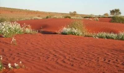 Outback Sandhills