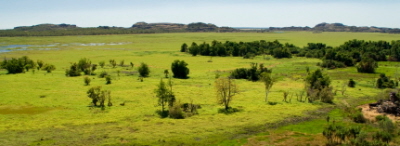 Kakadu