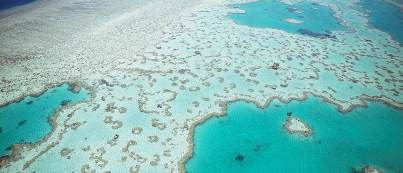 Great Barrier Reef Queensland