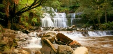 A Beautiful Waterfall In The Island State of Tasmania