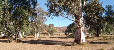 The Todd River In Alice Springs